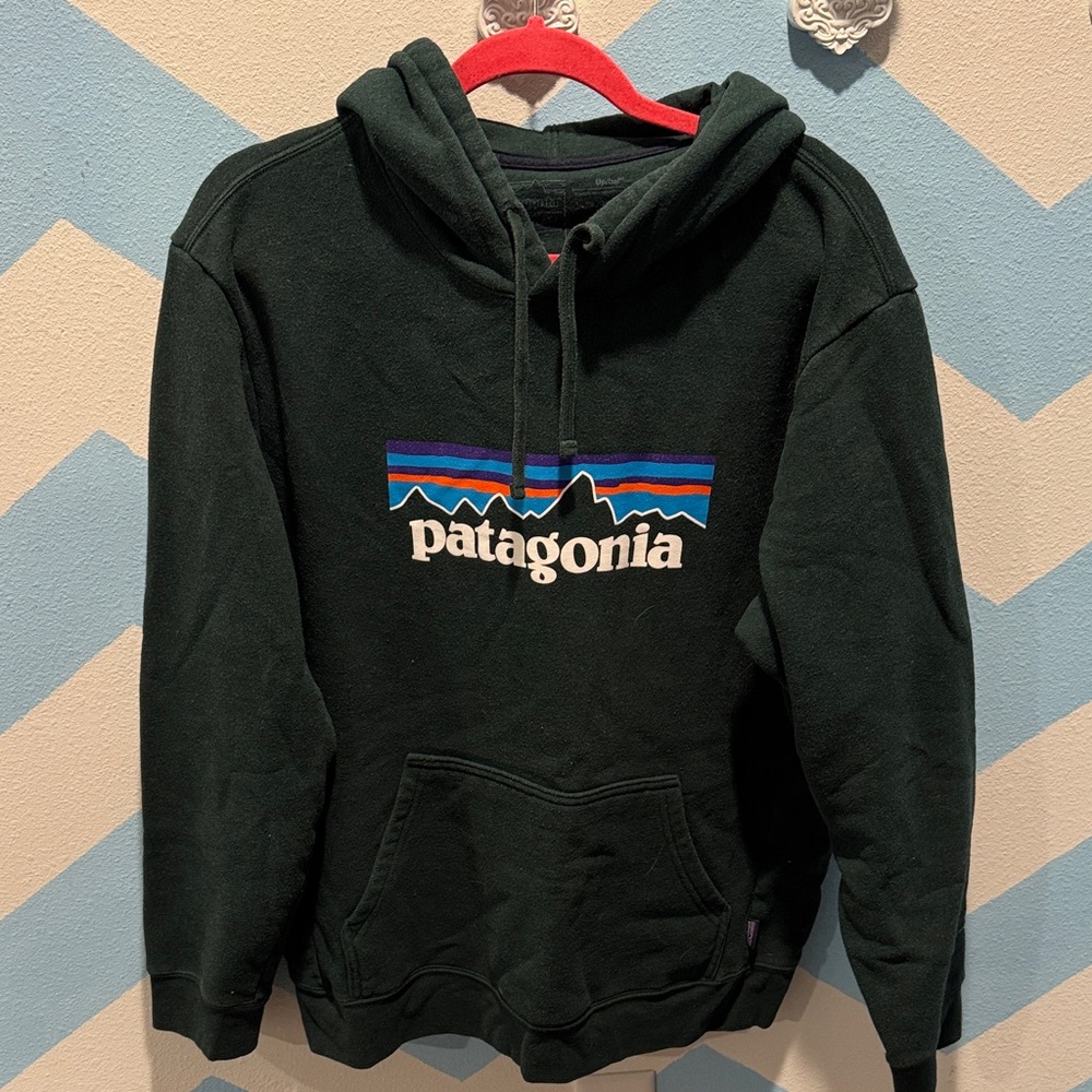 Patagonia Men's Dark Green Hoodie